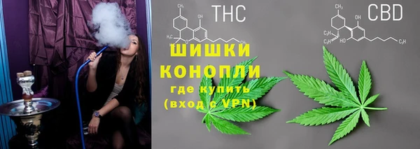 спиды Алзамай