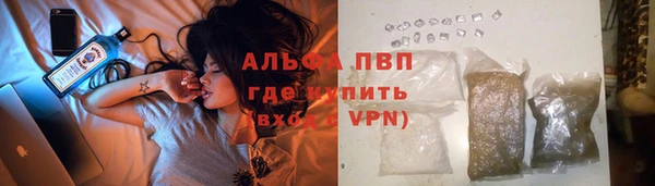 амф Алексин
