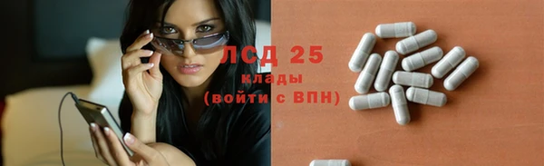 амф Алексин