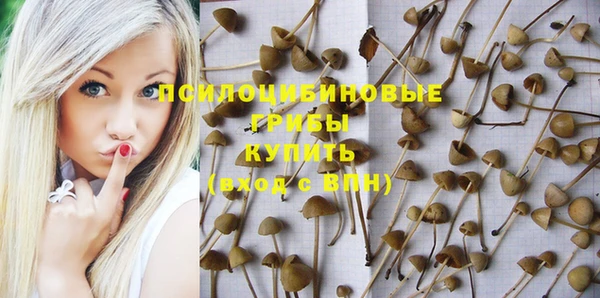 амф Алексин